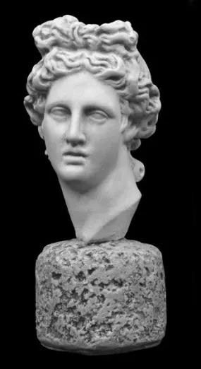 Apollo Belvedere Head Reduction - Item #648